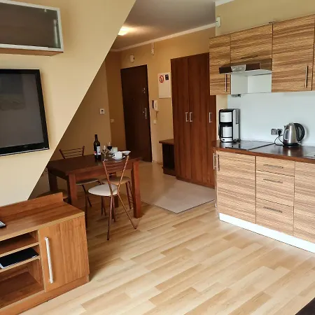 Convallis * 코스실리스코