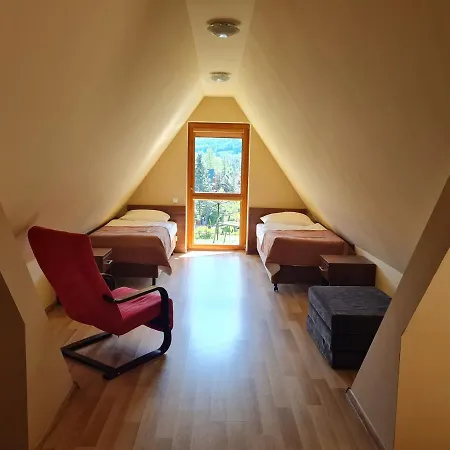 Convallis * 코스실리스코