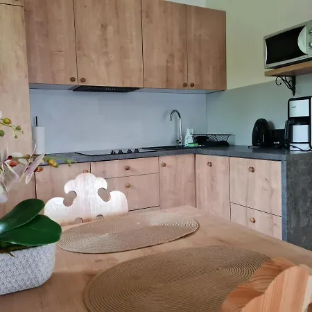 Convallis * 코스실리스코