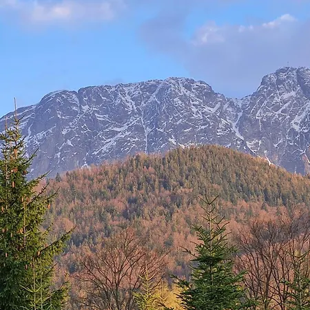 Convallis Appartement