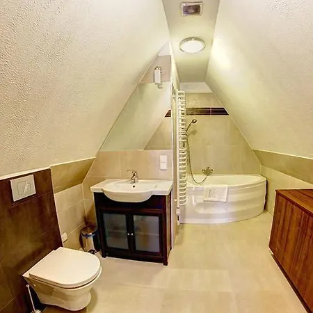 Convallis 코스실리스코