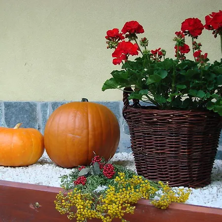 Convallis Kościelisko