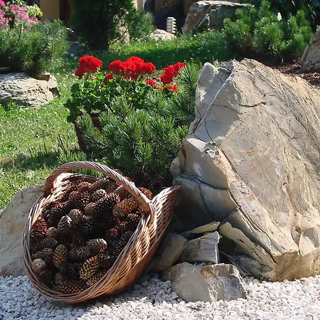 Convallis Appartement