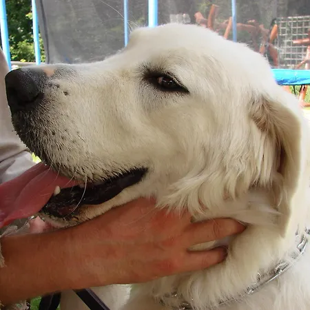 Convallis Kościelisko