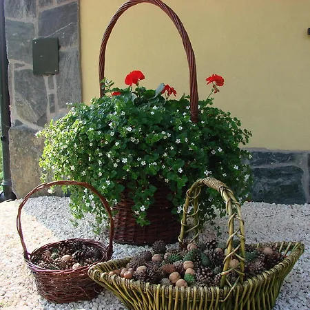 Convallis 코스실리스코