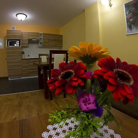 Convallis Kościelisko